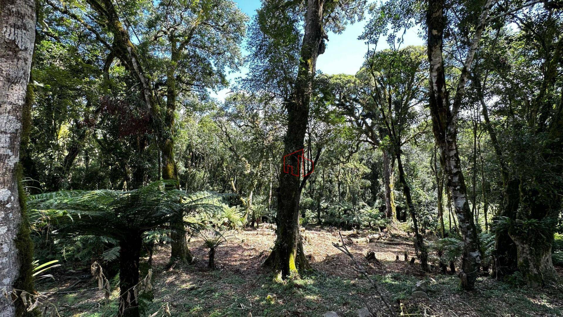 Loteamento e Condomínio à venda, 1096M2 - Foto 8