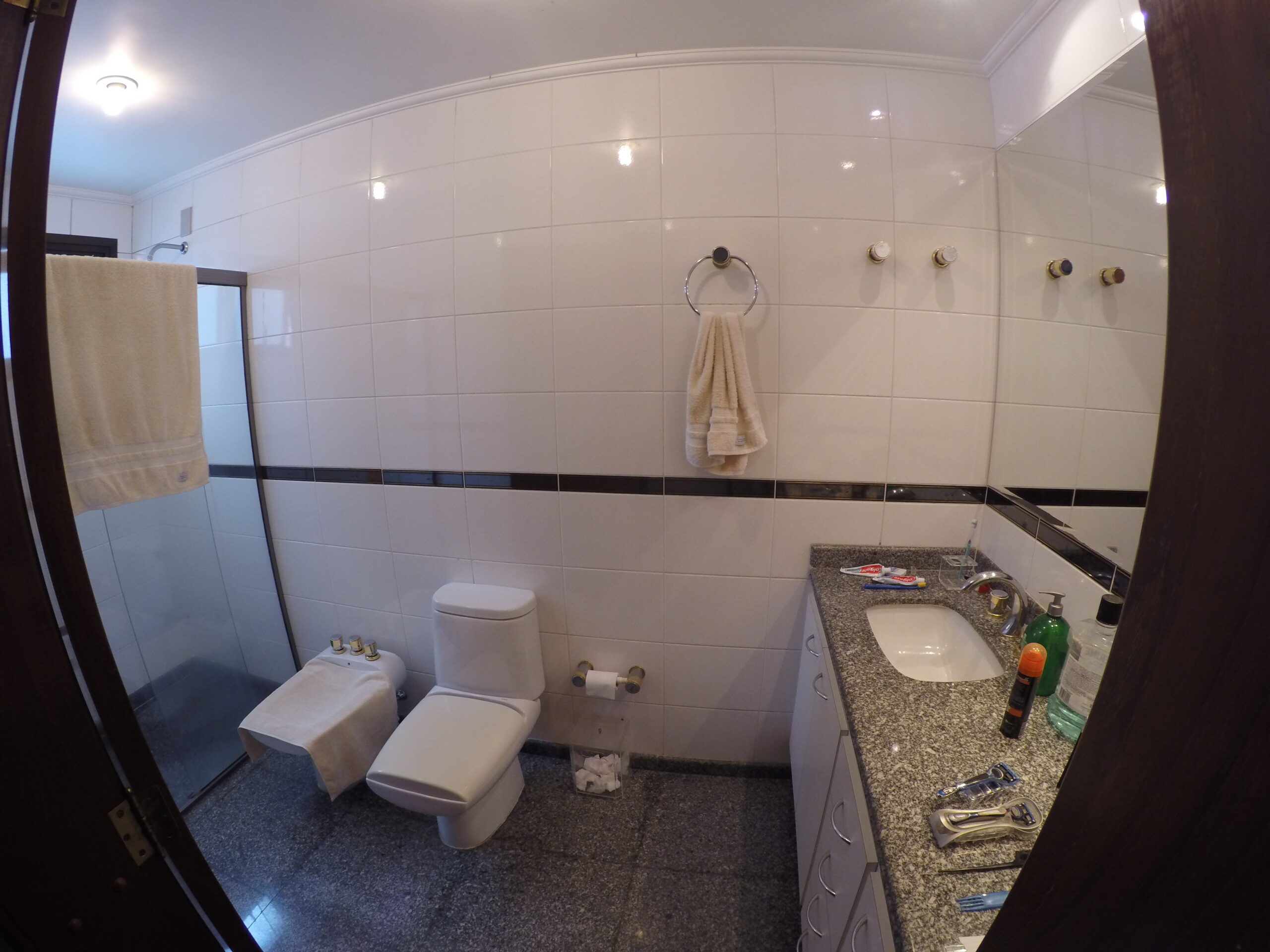 Apartamento à venda com 3 quartos, 226m² - Foto 11