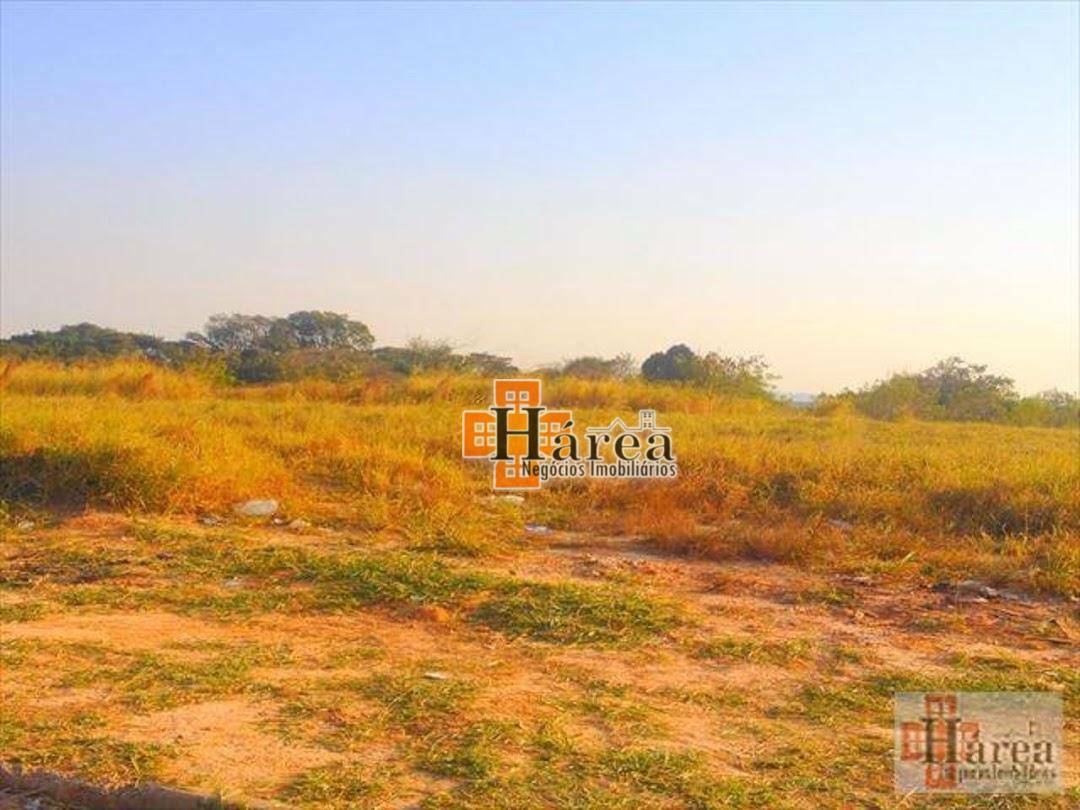 Terreno para alugar, 4981M2 - Foto 4