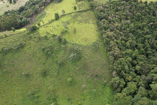 Terreno à venda, 75000M2 - Foto 8