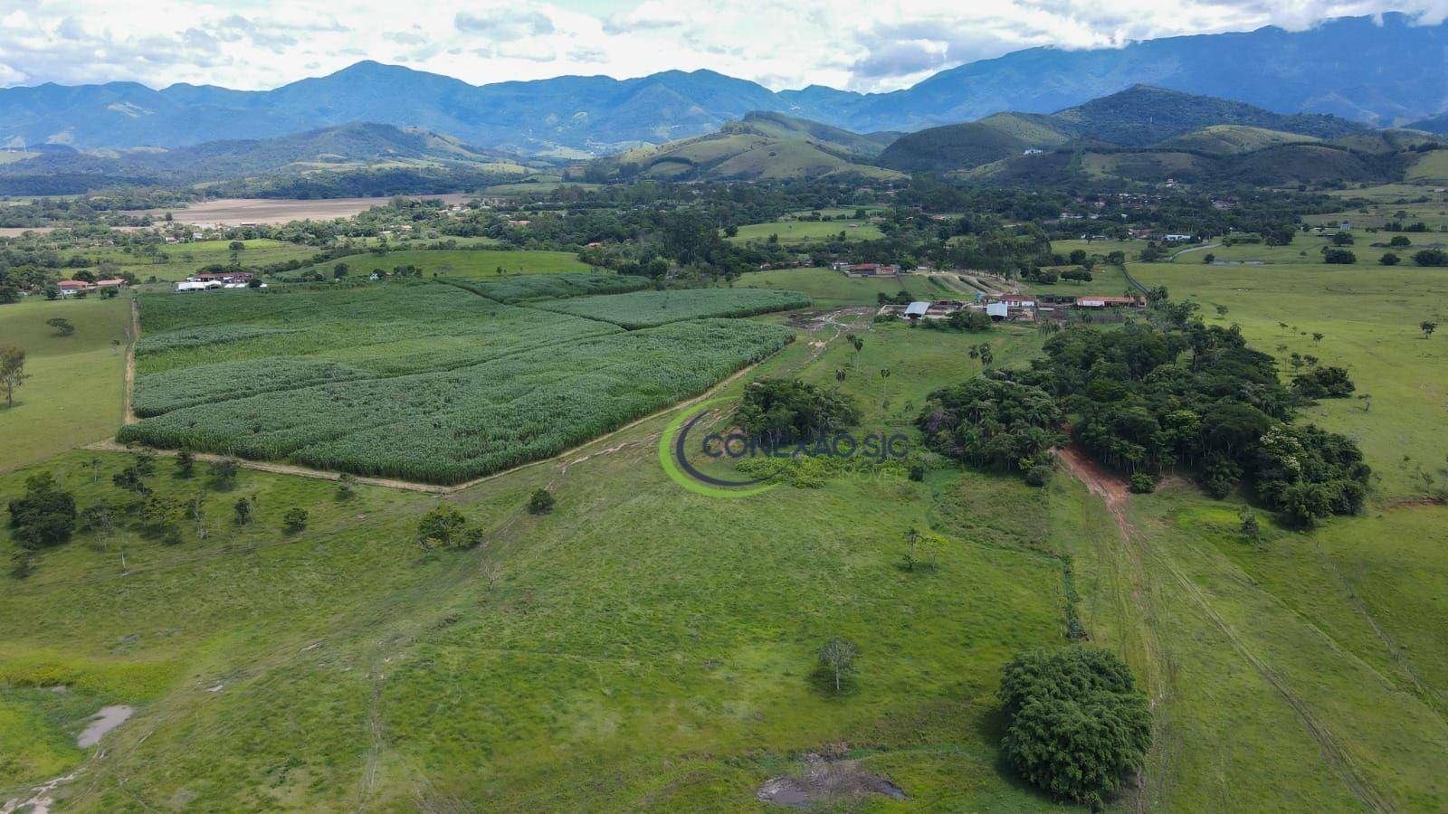 Fazenda à venda com 7 quartos, 968000M2 - Foto 6