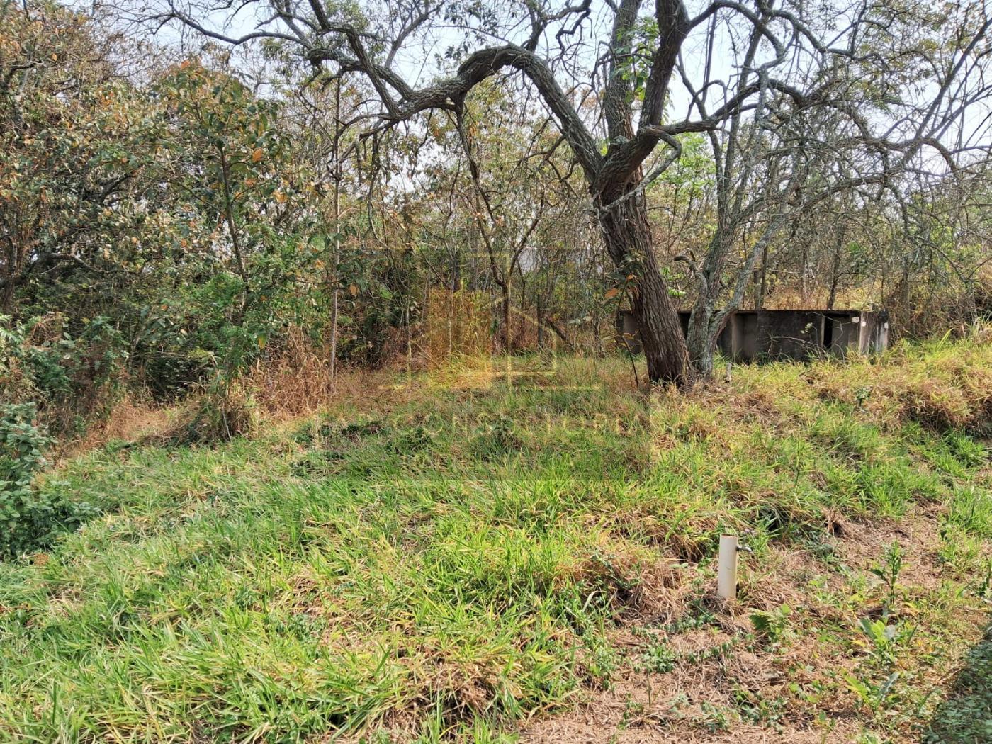 Fazenda à venda, 2500m² - Foto 6