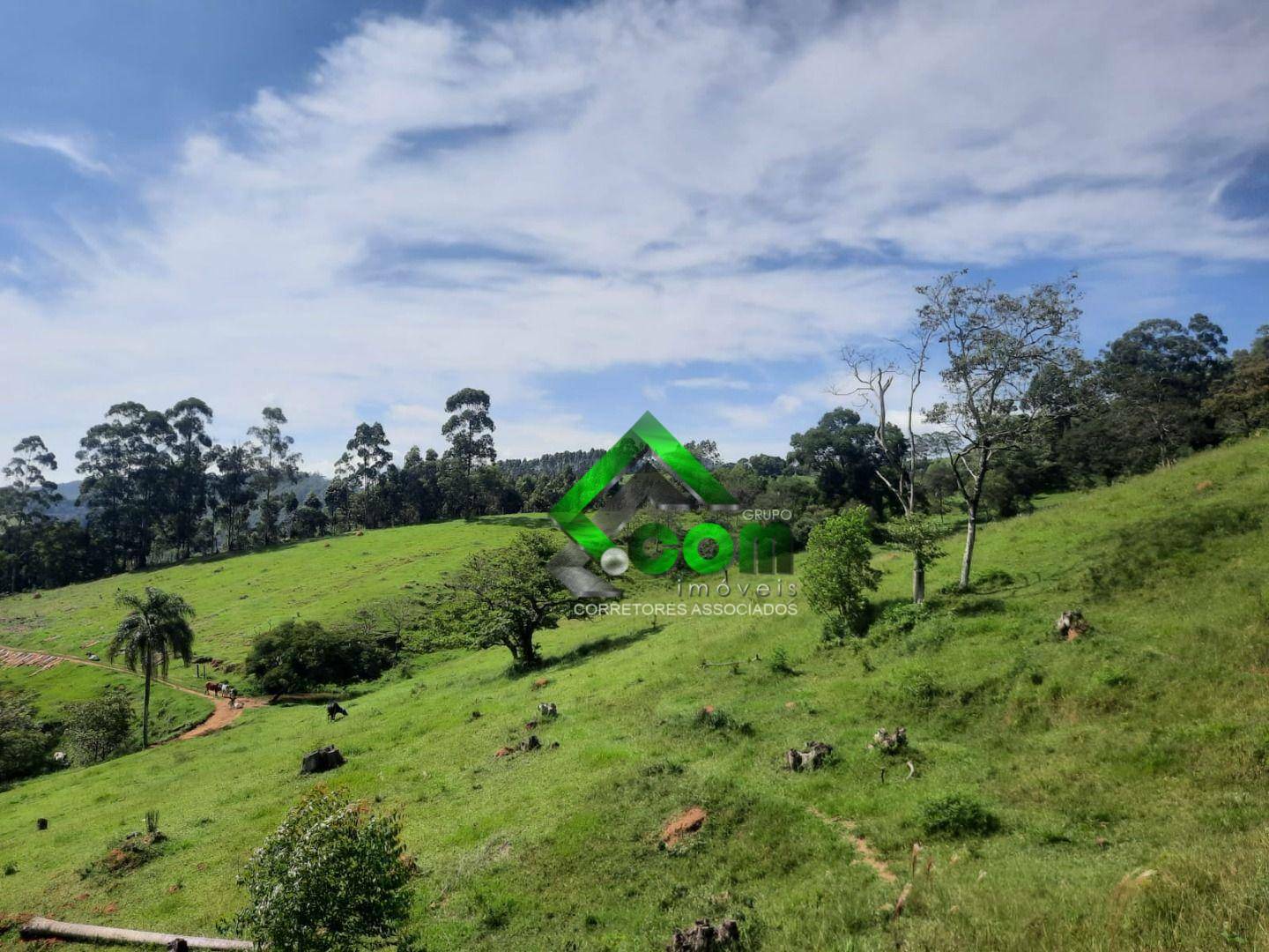 Terreno à venda, 20000M2 - Foto 26