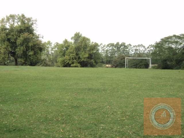 Sítio à venda com 3 quartos, 40000m² - Foto 6