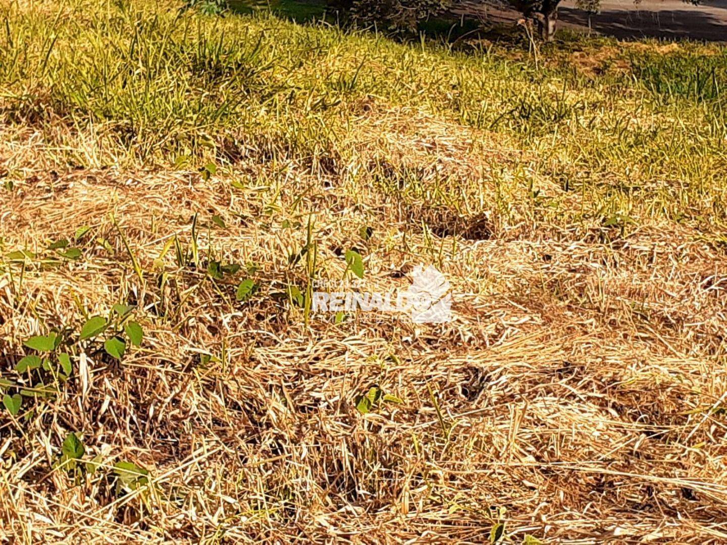 Loteamento e Condomínio à venda, 504M2 - Foto 4