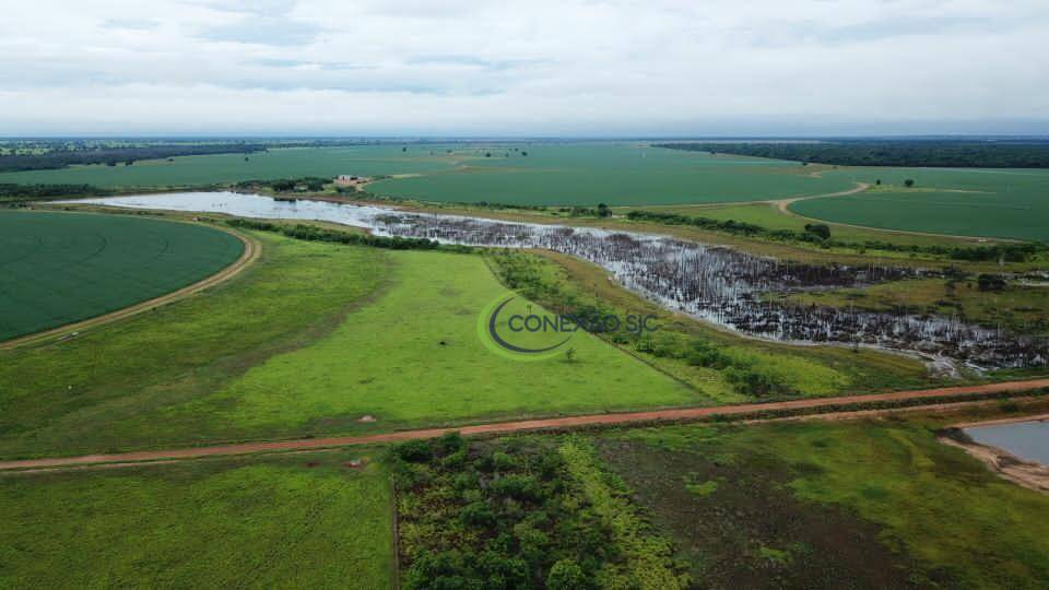 Fazenda-Sítio-Chácara, 5614 hectares - Foto 1