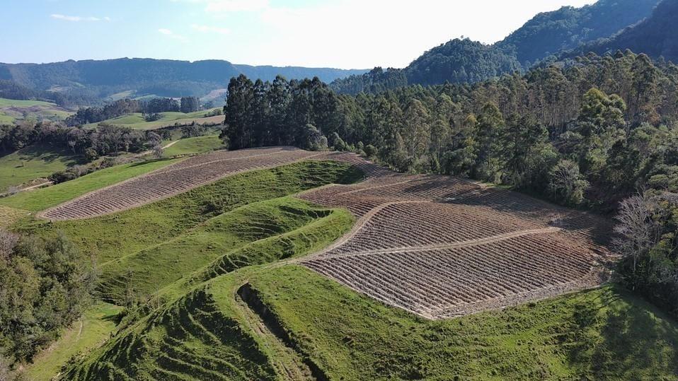 Fazenda à venda com 4 quartos, 101500m² - Foto 43