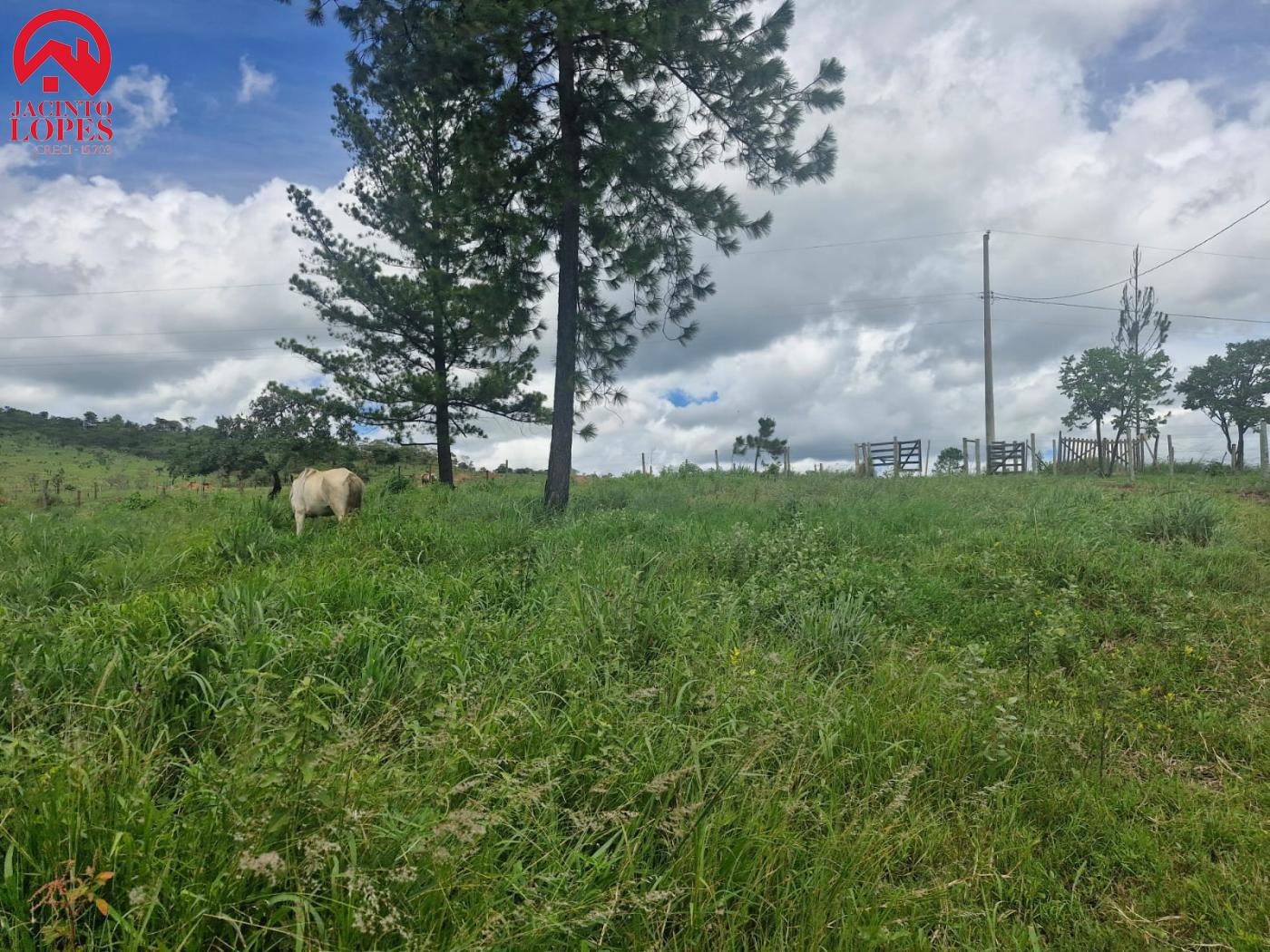 Fazenda à venda com 2 quartos, 120m² - Foto 15