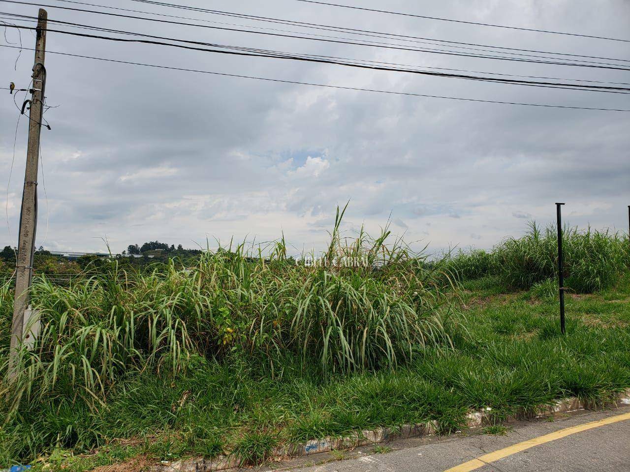 Terreno à venda, 335M2 - Foto 2