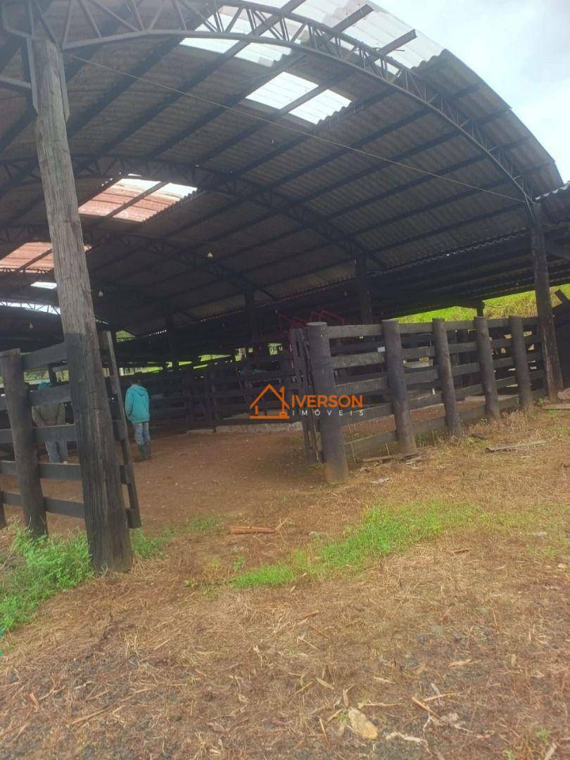 Fazenda à venda com 2 quartos, 250m² - Foto 3