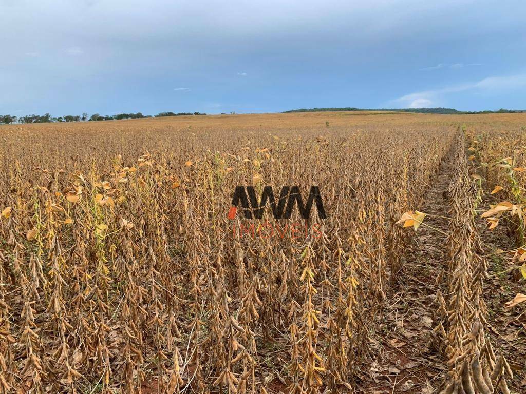 Fazenda-Sítio-Chácara, 707 hectares - Foto 9