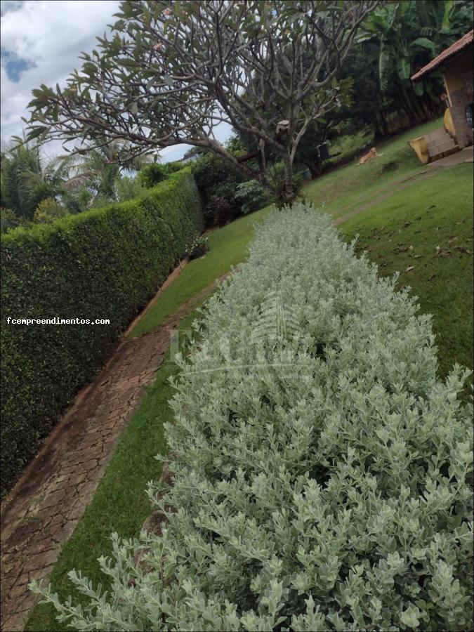 Fazenda à venda com 3 quartos, 1000m² - Foto 16