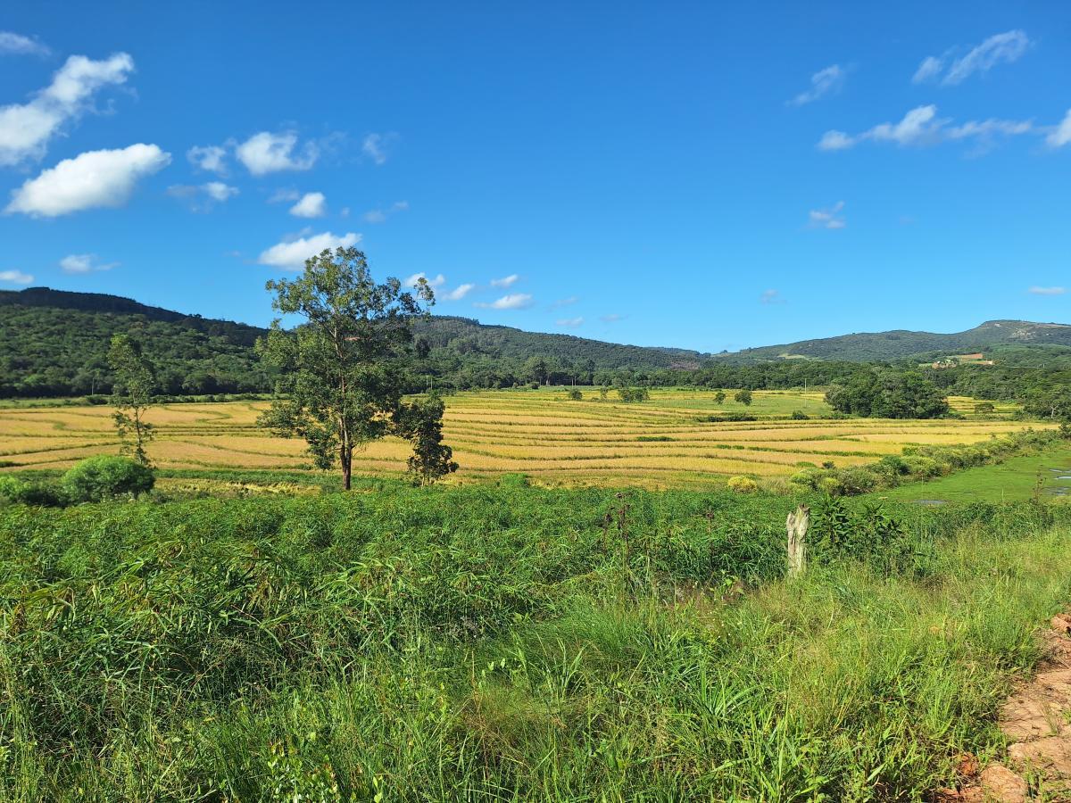 Loteamento e Condomínio, 3 hectares - Foto 1