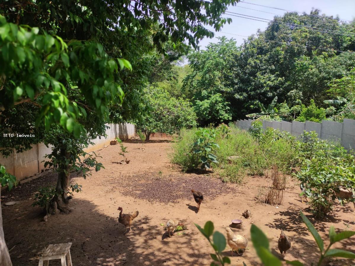 Fazenda à venda com 3 quartos, 1000m² - Foto 34