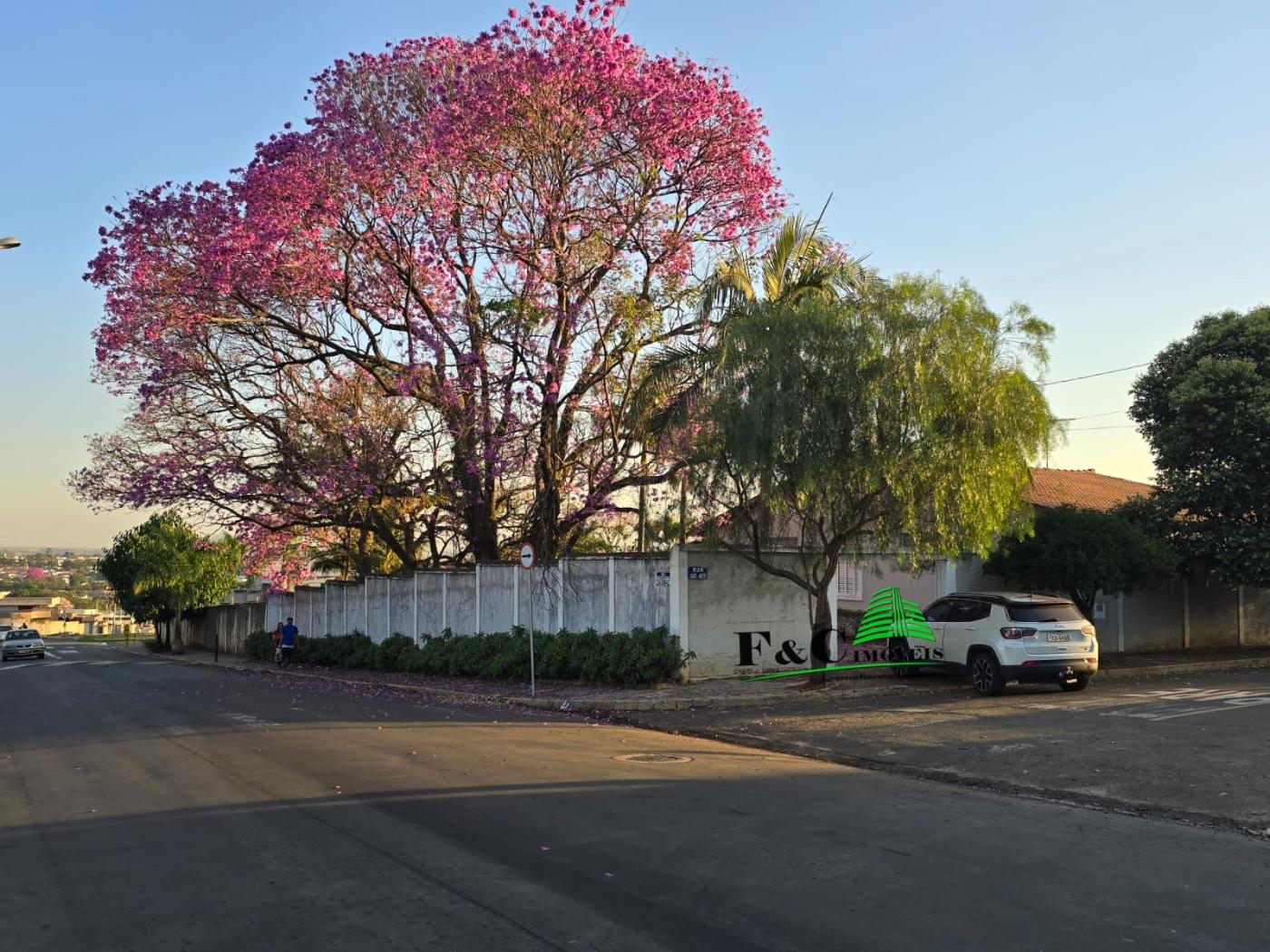 Casa à venda com 6 quartos, 960m² - Foto 9