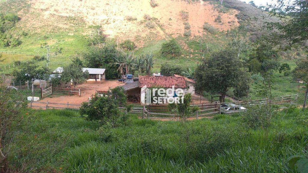 Sítio à venda com 5 quartos, 170000M2 - Foto 19