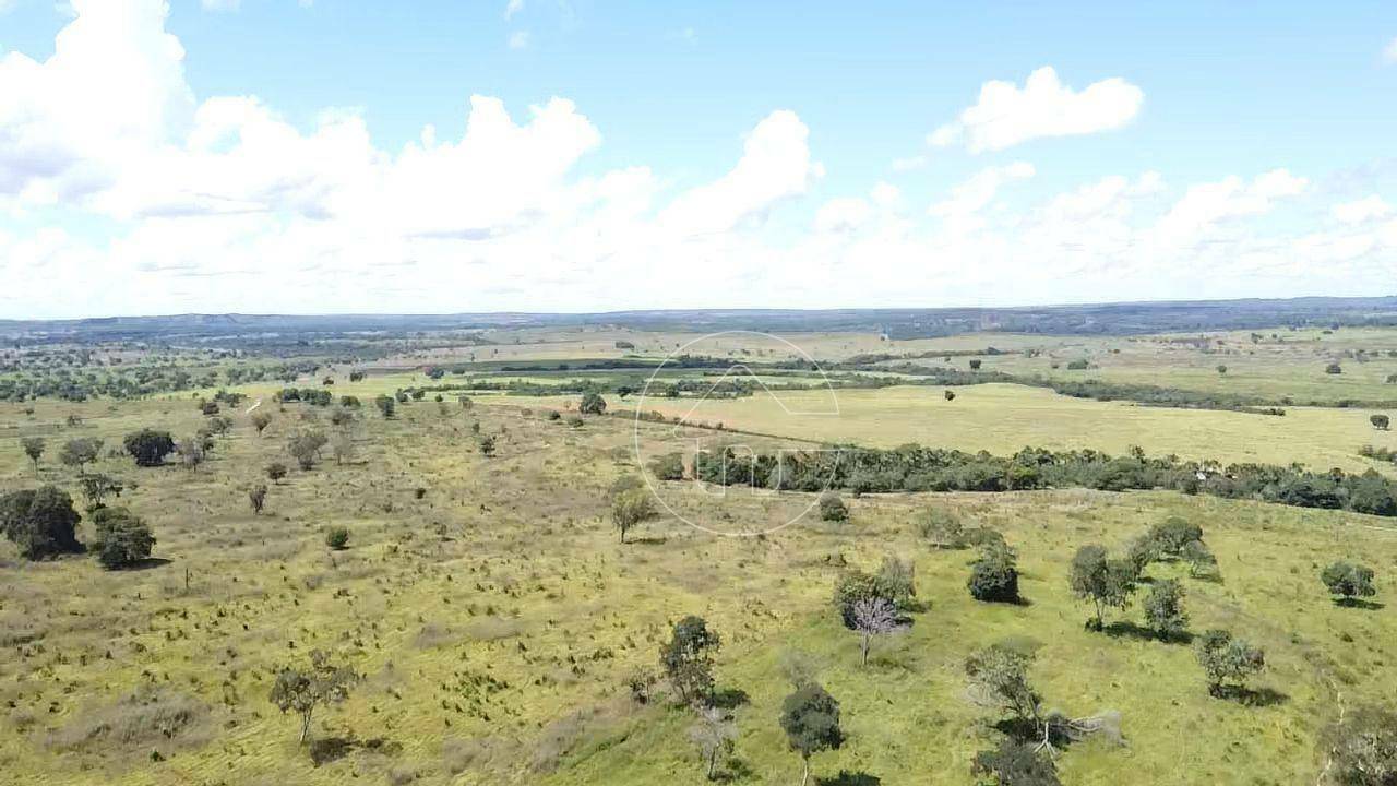 Fazenda à venda, 9970000M2 - Foto 30