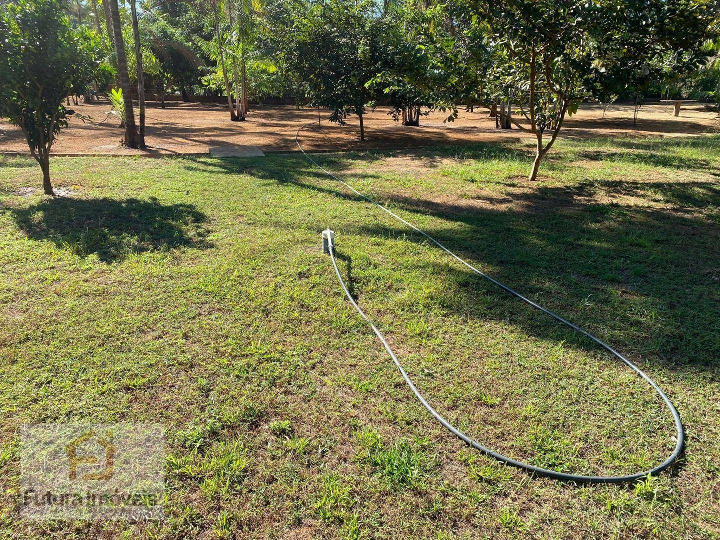 Chácara à venda com 3 quartos, 6000M2 - Foto 3