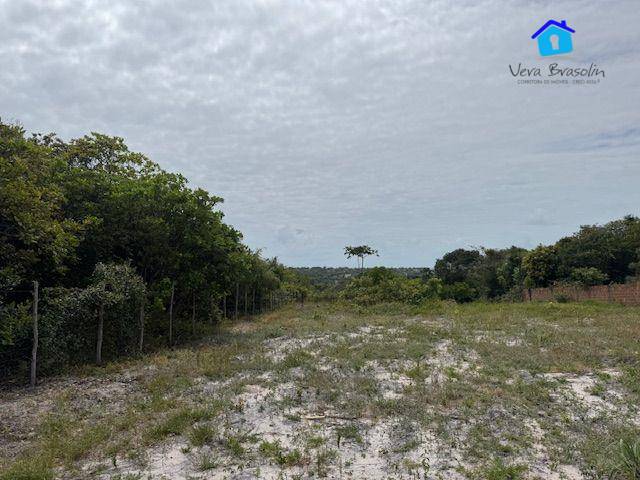 Terreno, 2500 m² - Foto 3