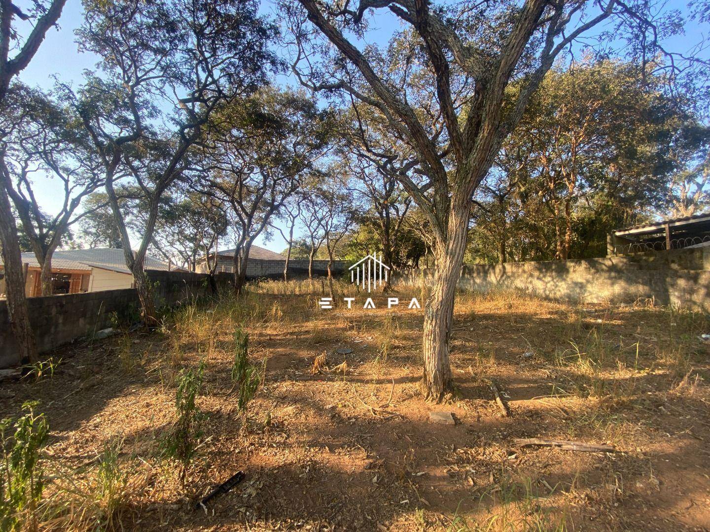 Terreno, 543 m² - Foto 4