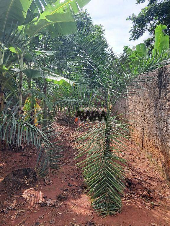 Terreno, 2635 m² - Foto 4