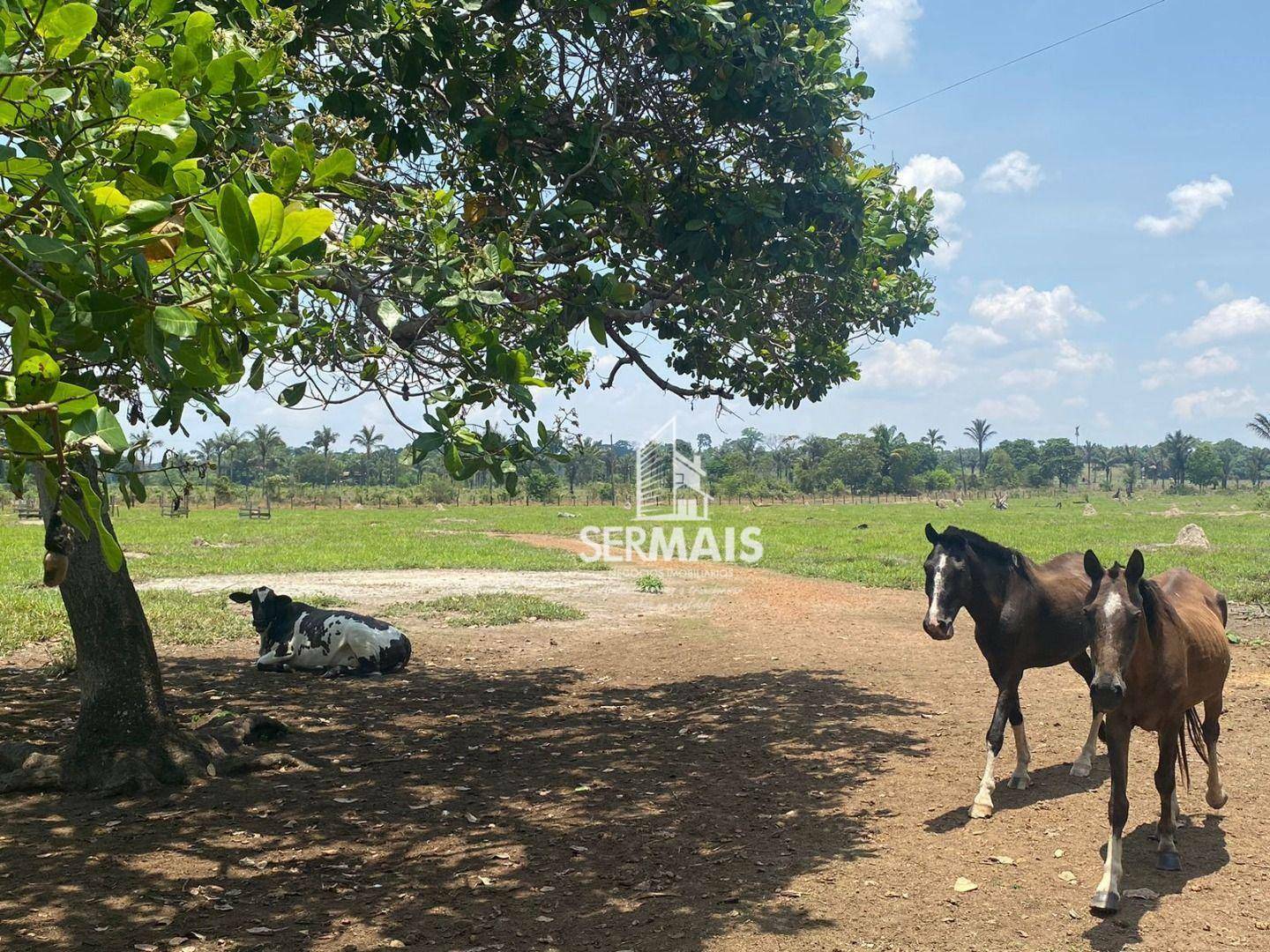 Fazenda à venda, 500M2 - Foto 9