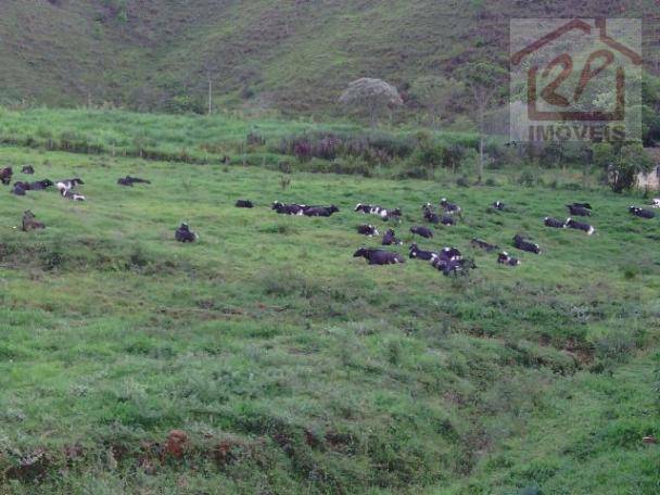 Fazenda à venda com 2 quartos, 411400M2 - Foto 6