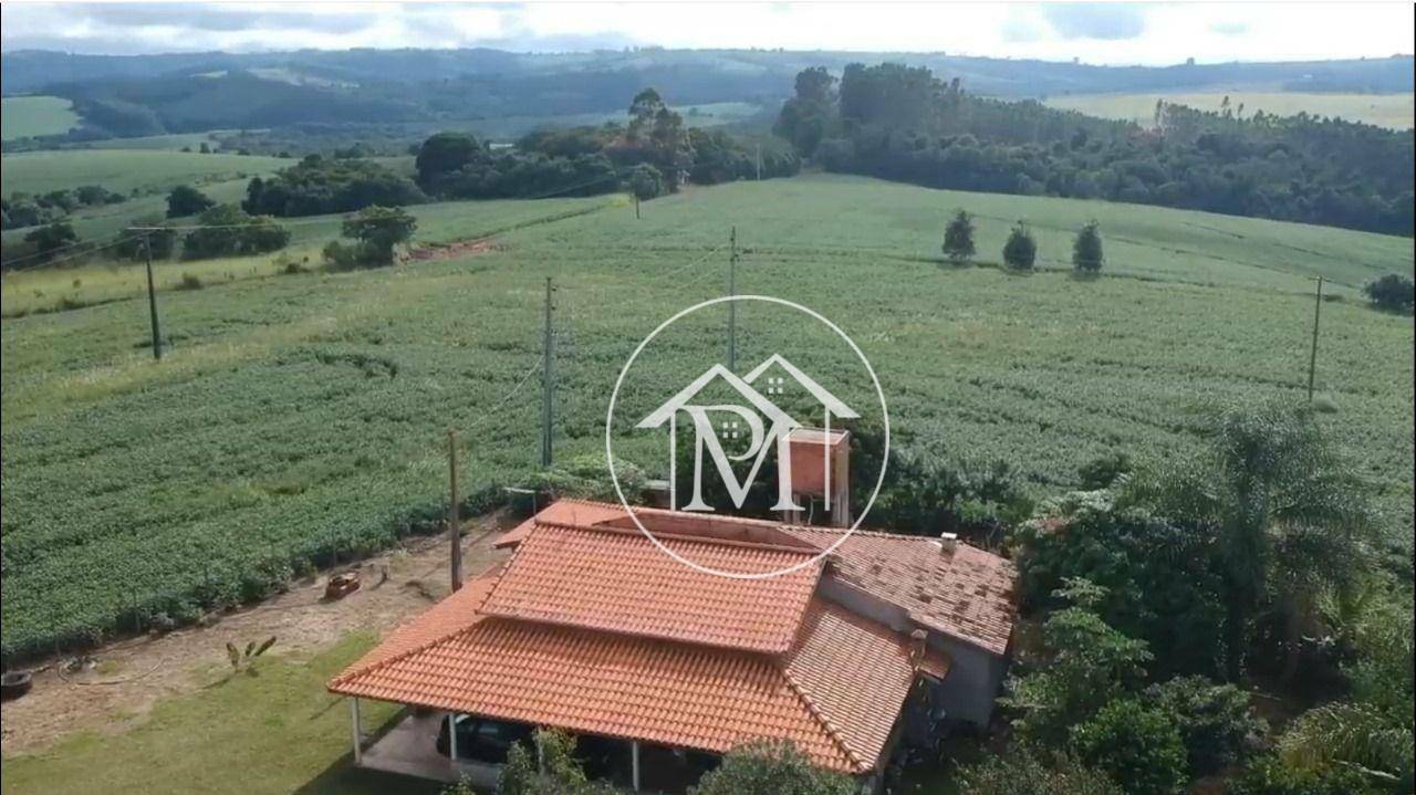 Sítio à venda com 4 quartos, 169400M2 - Foto 17