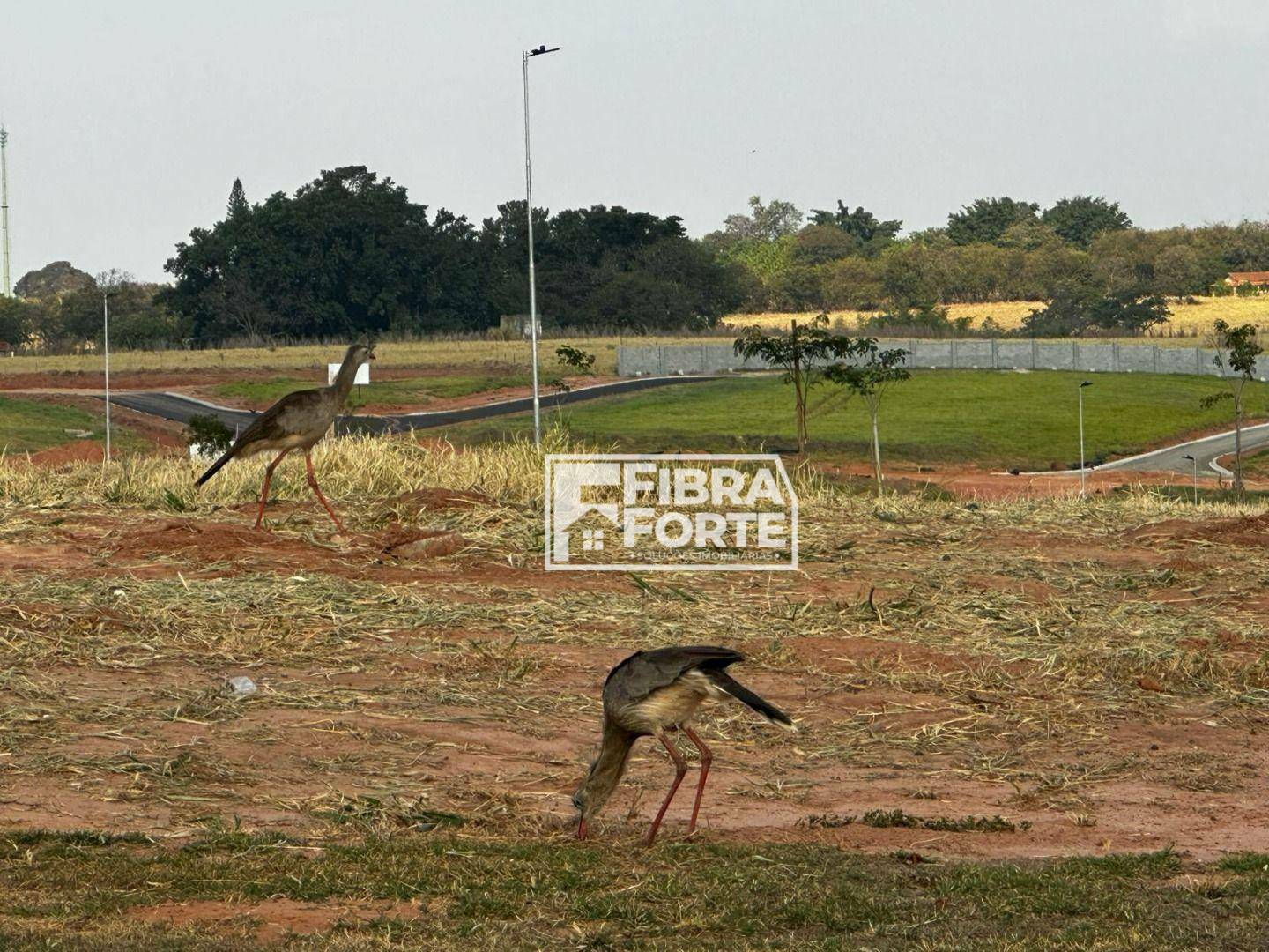 Loteamento e Condomínio à venda, 430M2 - Foto 2