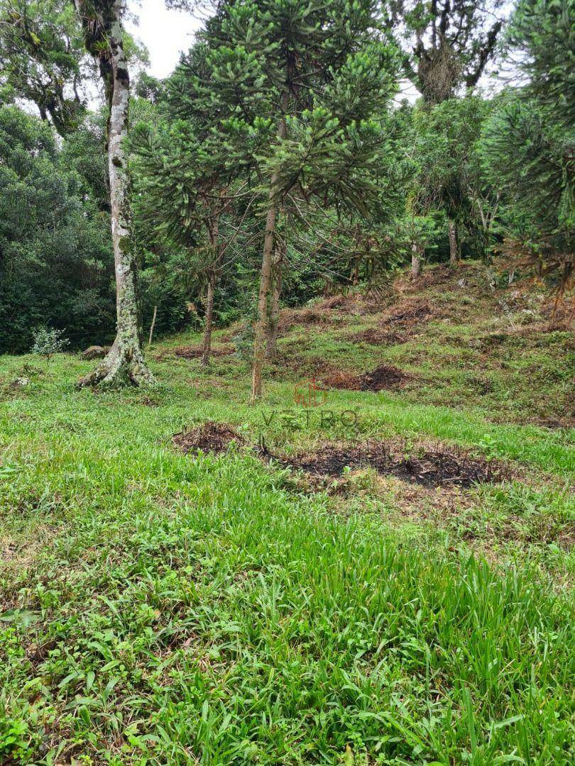 Terreno à venda, 3400M2 - Foto 7