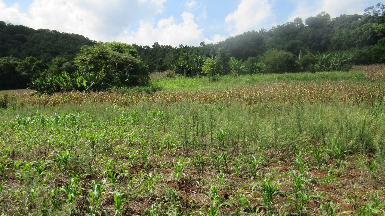 Loteamento e Condomínio à venda, 103000m² - Foto 52