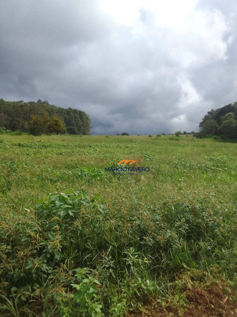 Fazenda, 102 hectares - Foto 4