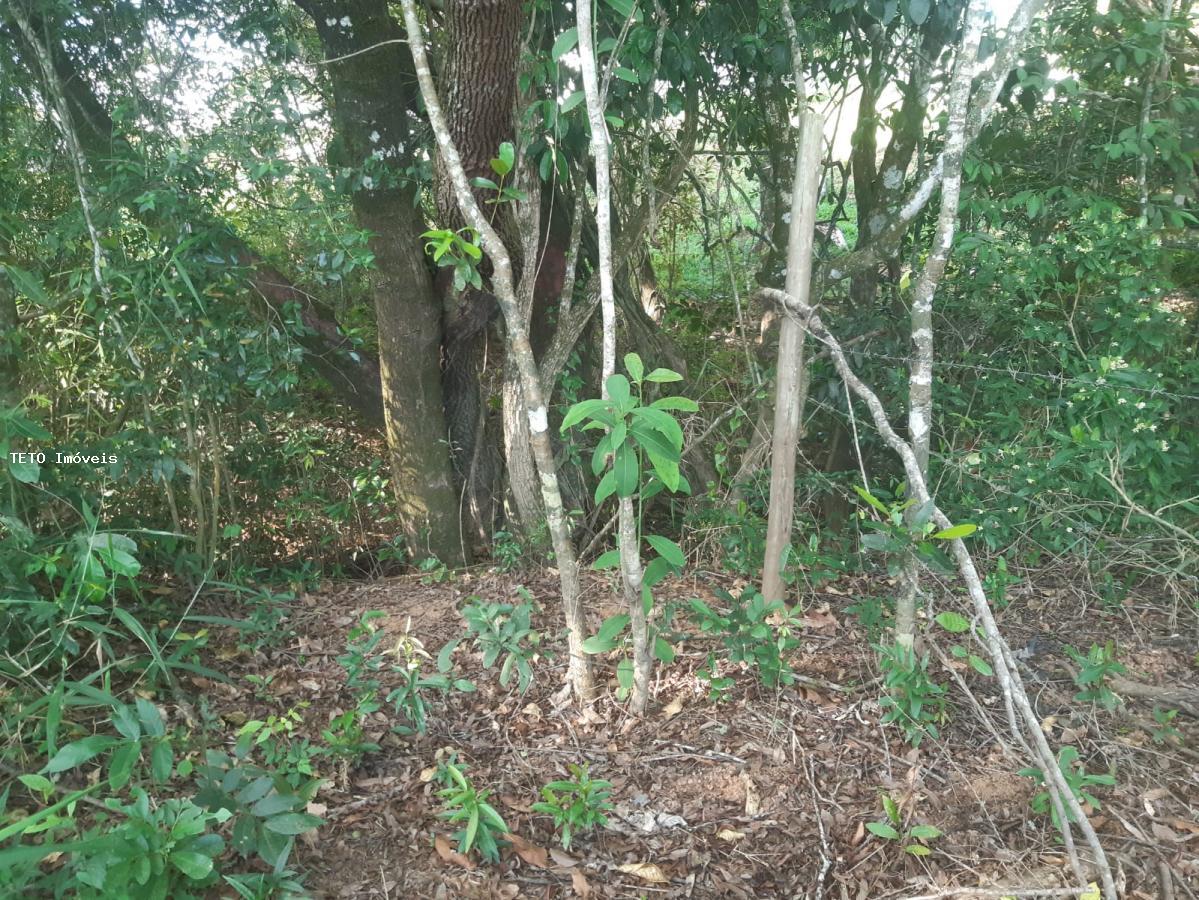 Fazenda à venda com 2 quartos, 10000m² - Foto 20