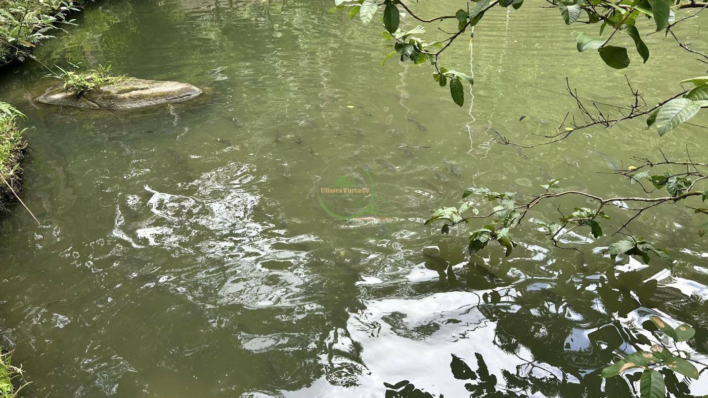 Sítio, 218 m² - Foto 34