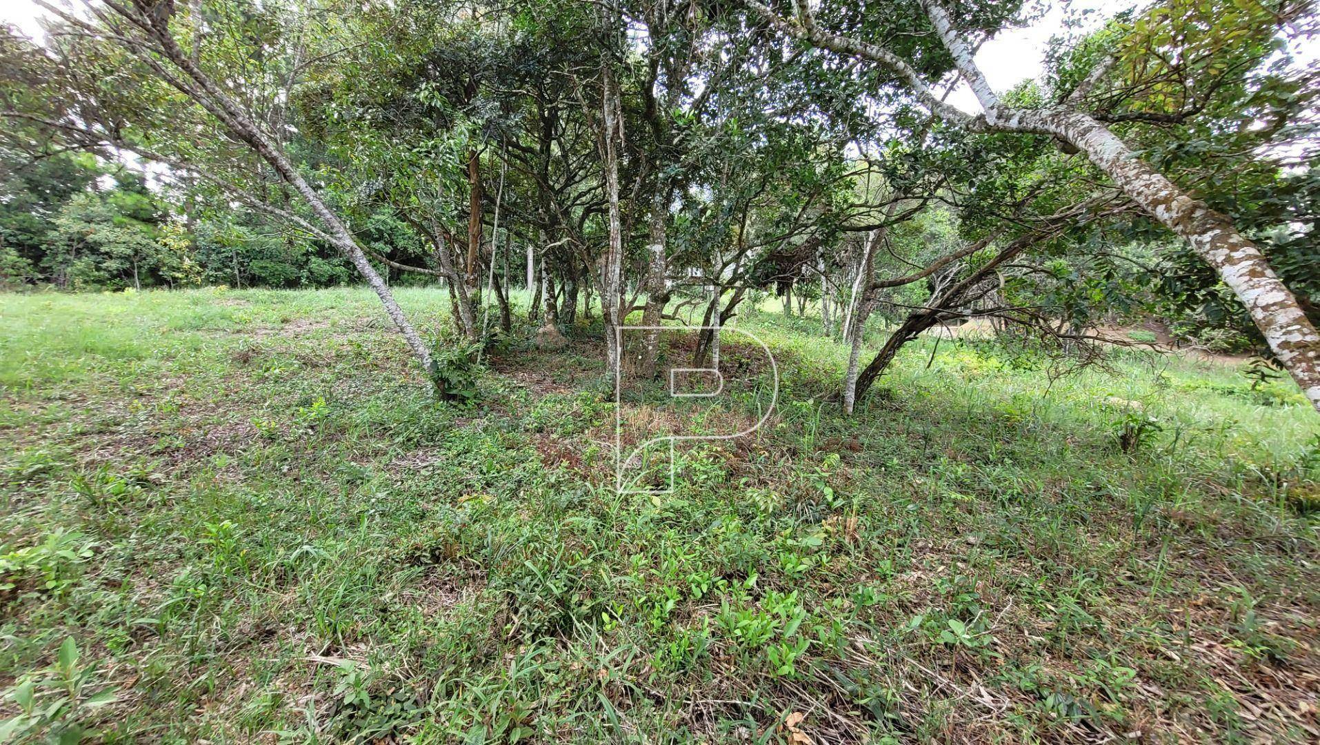 Loteamento e Condomínio à venda, 1540M2 - Foto 7