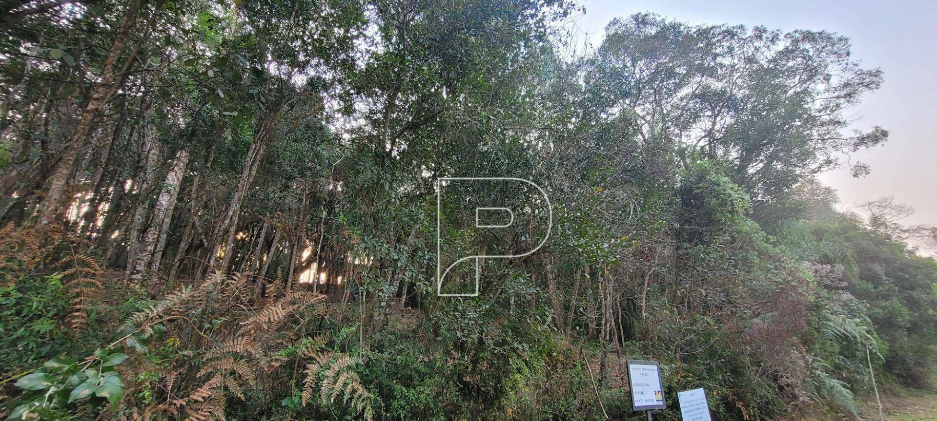 Loteamento e Condomínio à venda, 1500M2 - Foto 4