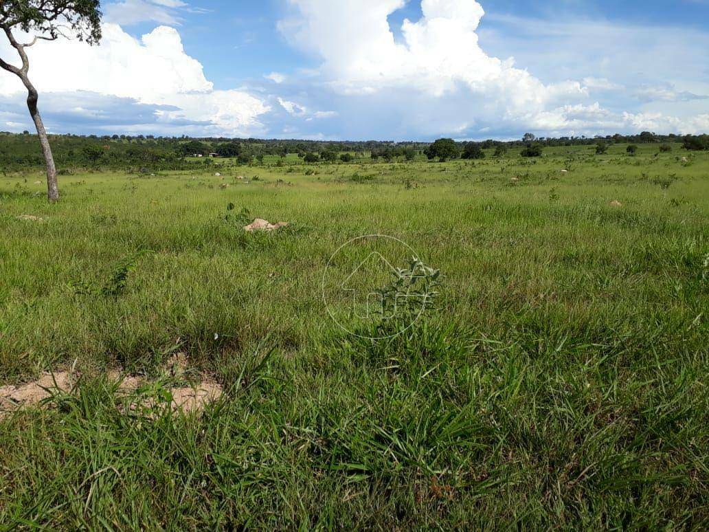 Fazenda à venda, 7400000M2 - Foto 5