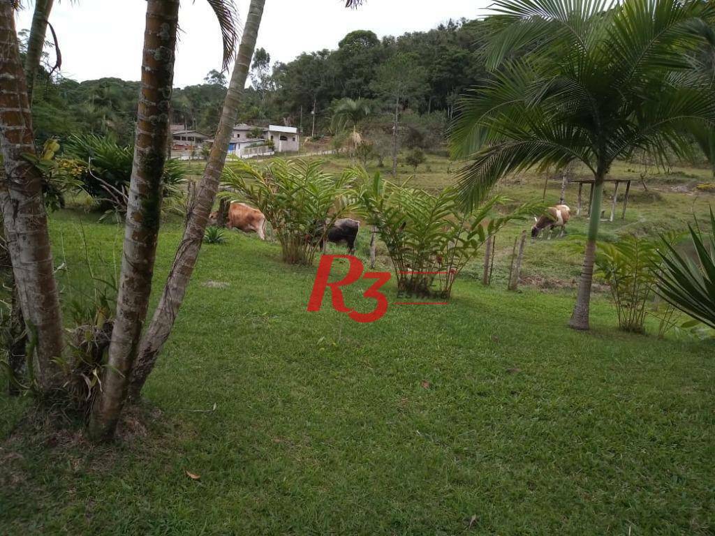 Sítio, 5 quartos, 7 hectares - Foto 37