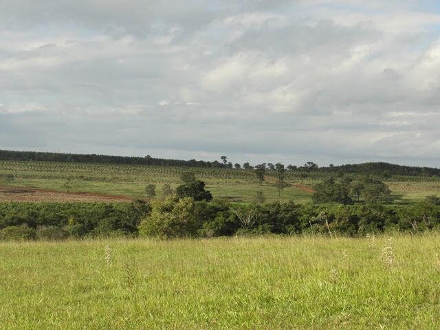 Fazenda à venda com 2 quartos, 4114000m² - Foto 7