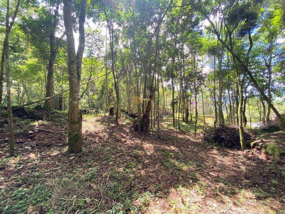 Terreno à venda com 1 quarto, 4000m² - Foto 12