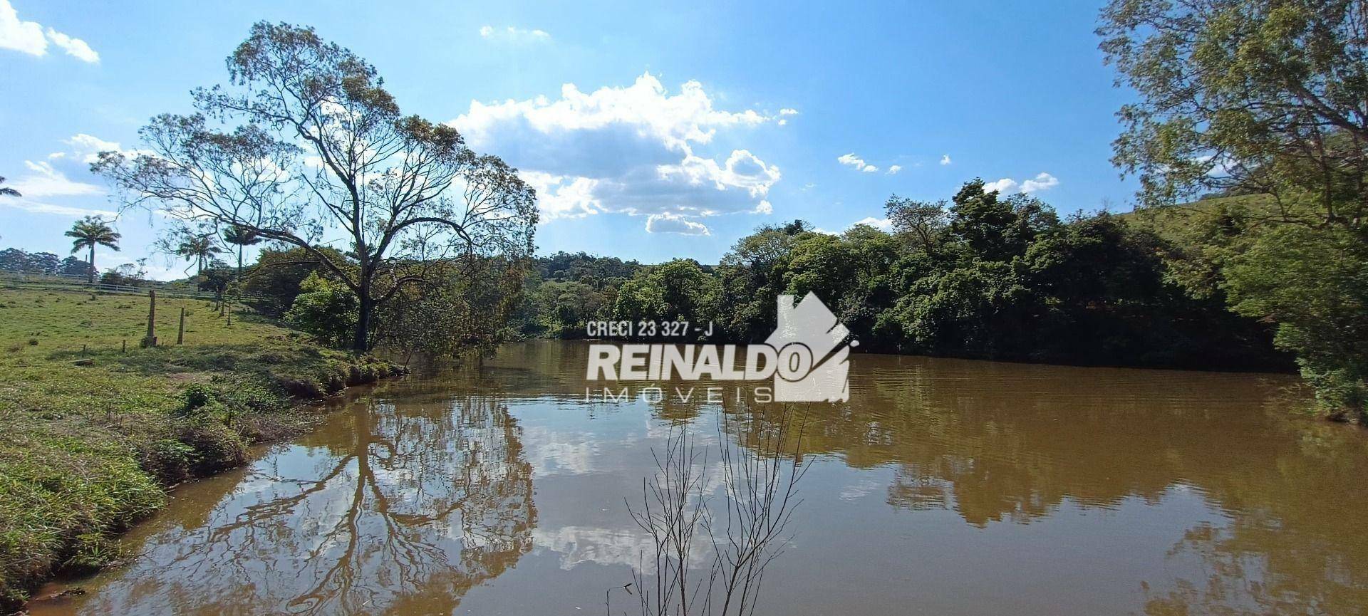 Haras e Área Rural Padrão à venda com 16 quartos, 2500m² - Foto 189