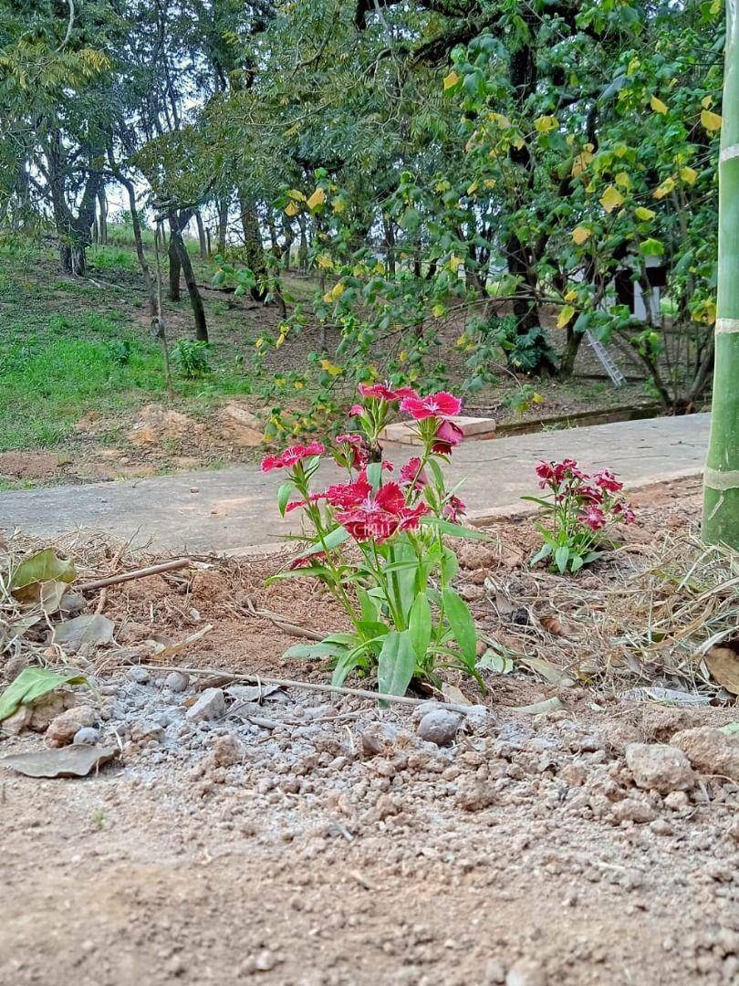 Chácara à venda com 4 quartos, 1200m² - Foto 89