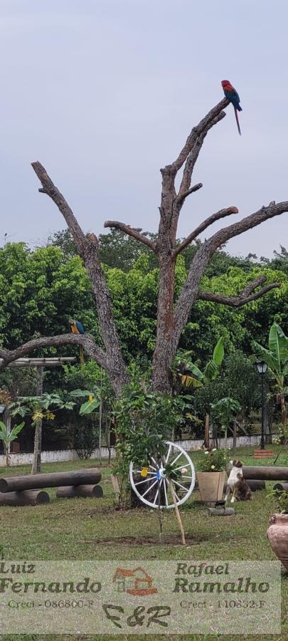 Fazenda à venda com 3 quartos, 6300m² - Foto 59