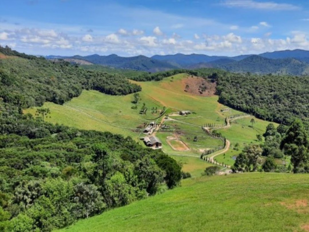 Fazenda à venda com 6 quartos, 1000m² - Foto 27