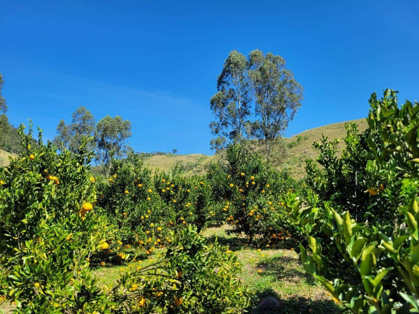 Fazenda à venda, 1292280M2 - Foto 31