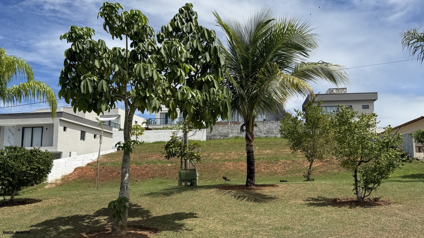 Terreno à venda, 392m² - Foto 12