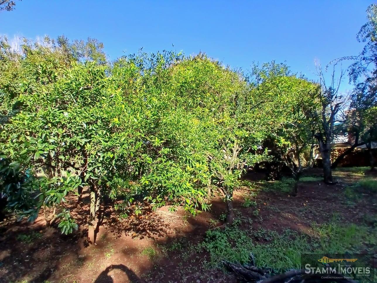 Terreno à venda, 1457m² - Foto 12