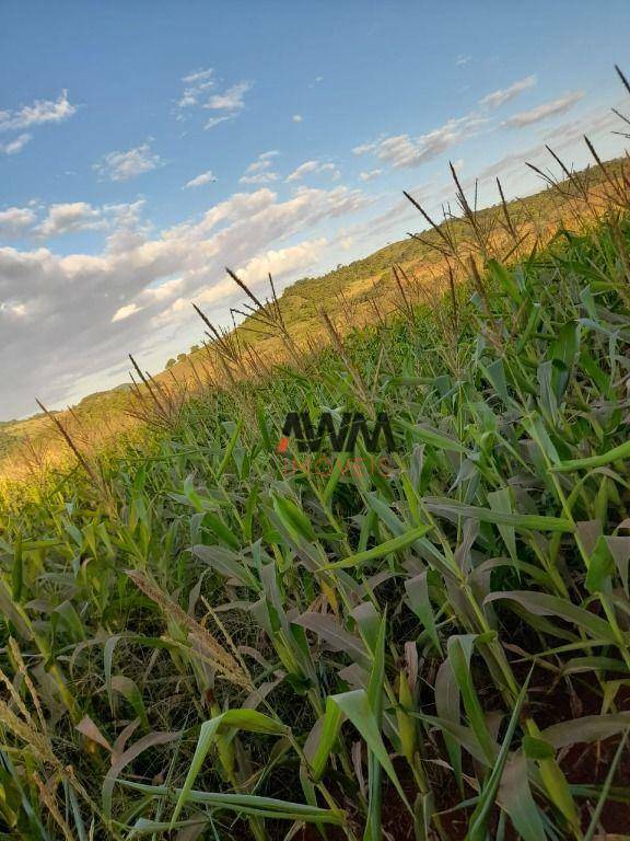 Fazenda à venda, 12100000M2 - Foto 25