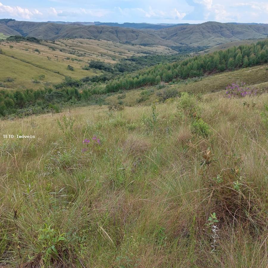 Fazenda à venda, 99m² - Foto 4