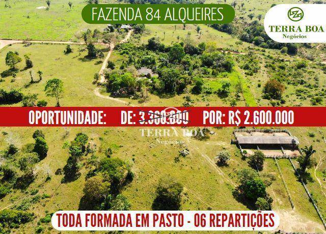 Fazenda-Sítio-Chácara, 203 hectares - Foto 1